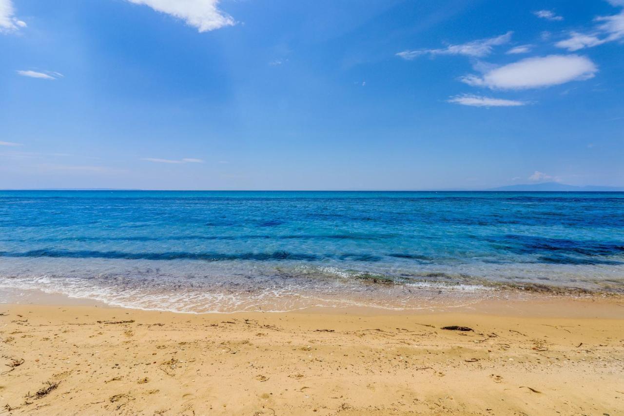 Calma Luxury #3 In Halkidiki Apartment